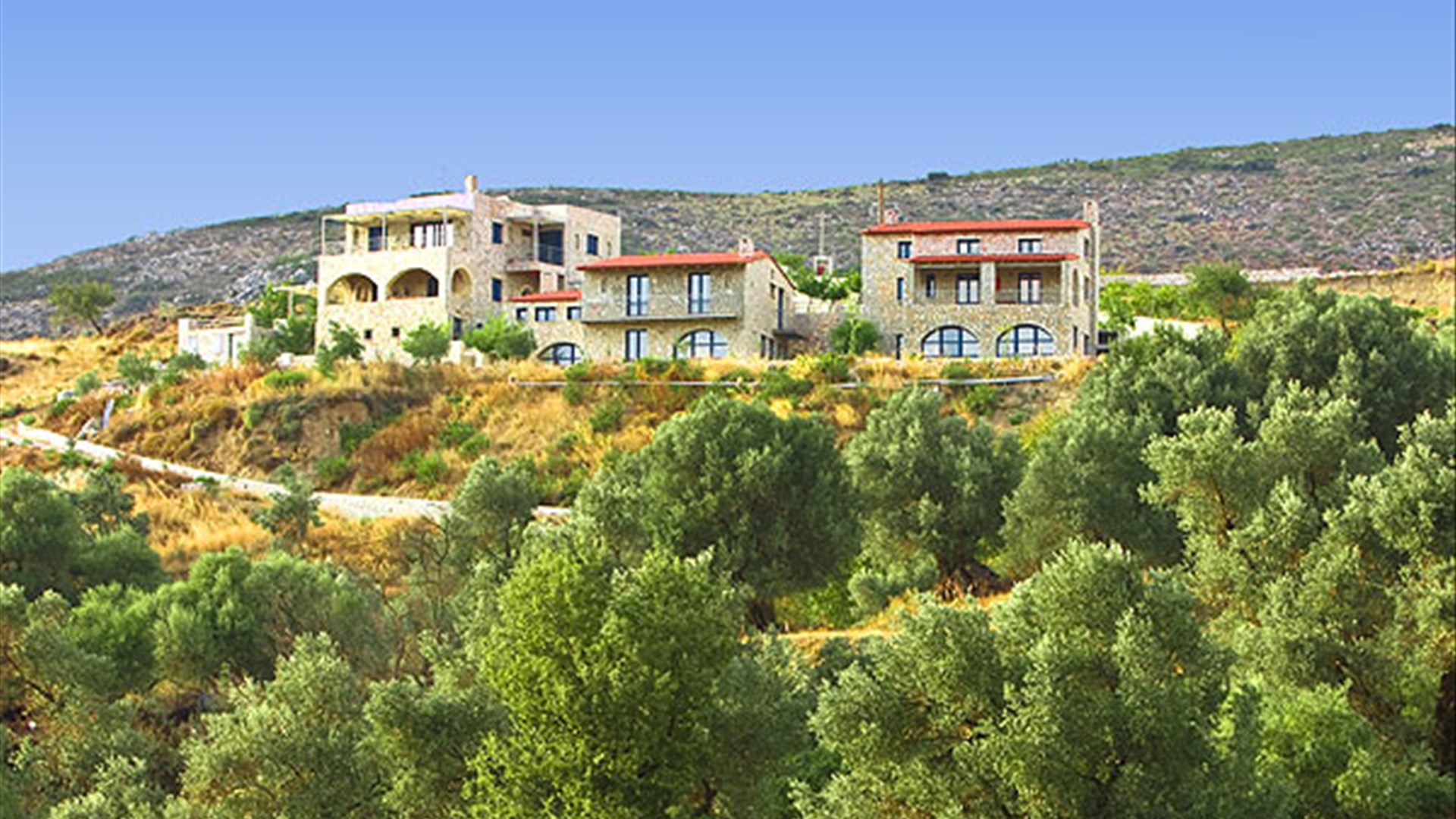 ARAUCARIA VILLA - RETHYMNO - CRETE